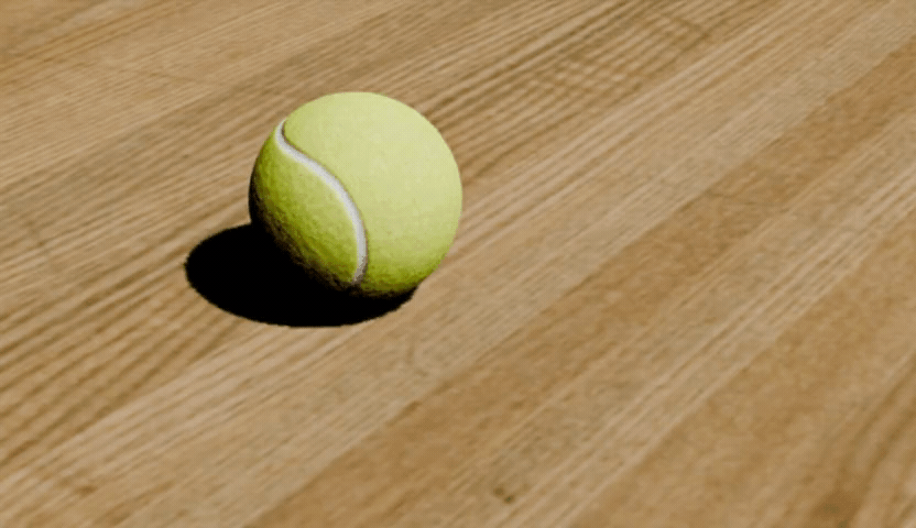 Ball - RealWonder