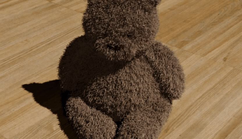 Bear - RealWonder