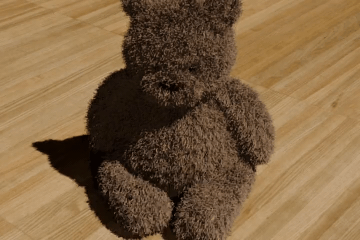 Bear - WonderPlay