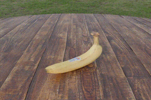 Rigid banana - VideoREPA